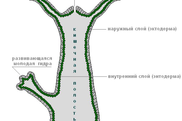 Блэкспрут ссылка blacksprute com